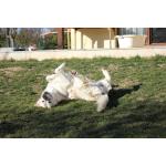 IMG_8863.JPG